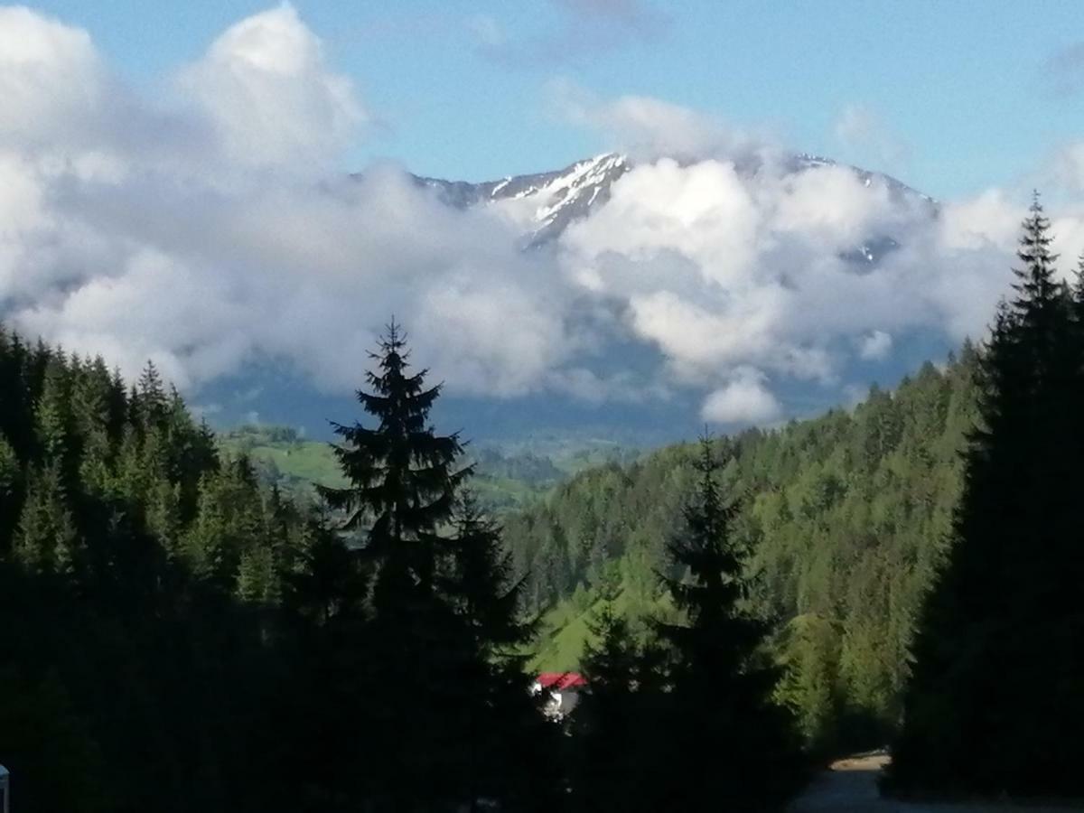 Traditia Borsanului Esterno foto